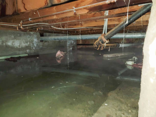 Best Water damage restoration services  in East Gaffney, SC