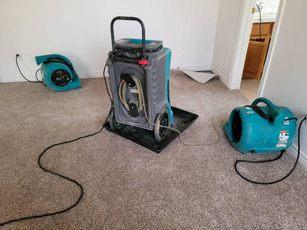 Best Water damage restoration near me  in East Gaffney, SC