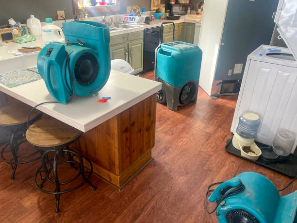 Best Water damage restoration process  in East Gaffney, SC