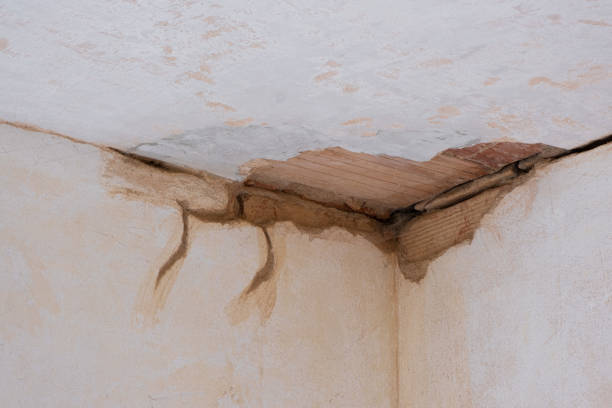 Best 24-hour water damage restoration  in East Gaffney, SC