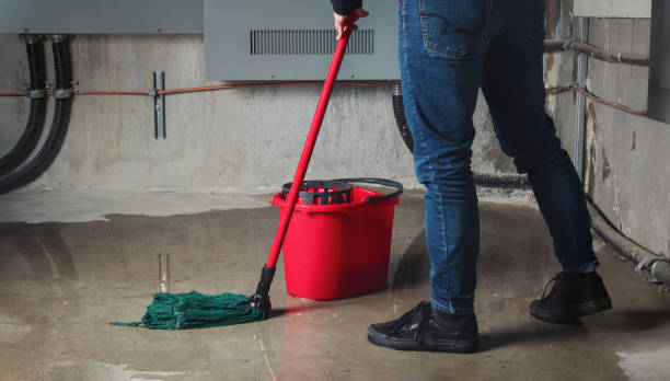 Best Flood damage cleanup  in East Gaffney, SC