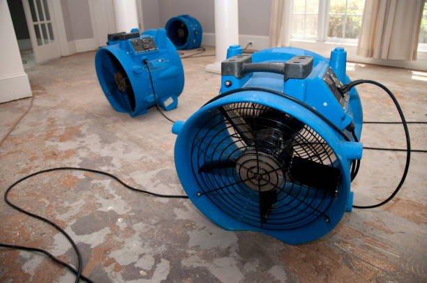 Carpet water damage restoration in East Gaffney, SC