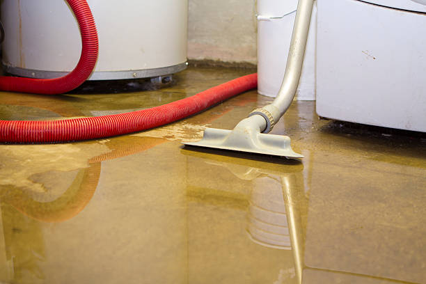 Best 24/7 water damage repair  in East Gaffney, SC