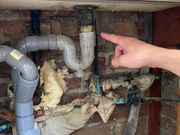 Best Water damage contractors near me  in East Gaffney, SC